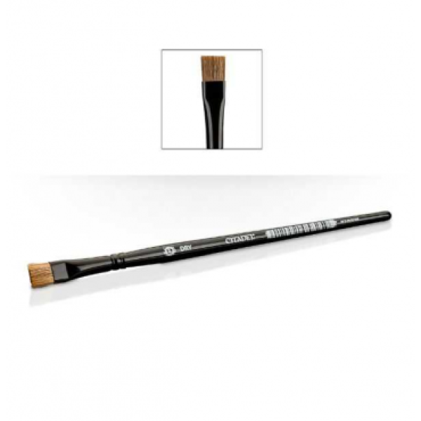 Citadel - Pinceau (brush) - Dry L