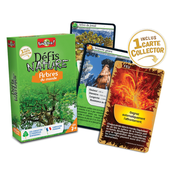 Défis Nature Bioviva - Arbres du monde – Image 3