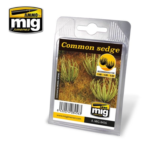 MIG - Common Sedge