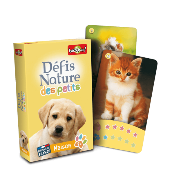 Défis des petits - Maison