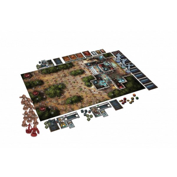 Project Elit – Image 2