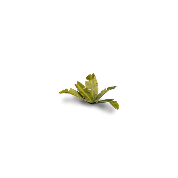 Plantes en découpe laser - Bananiers – Image 2