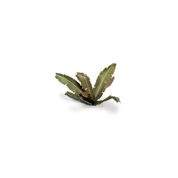 Plantes en découpe laser - Bananiers