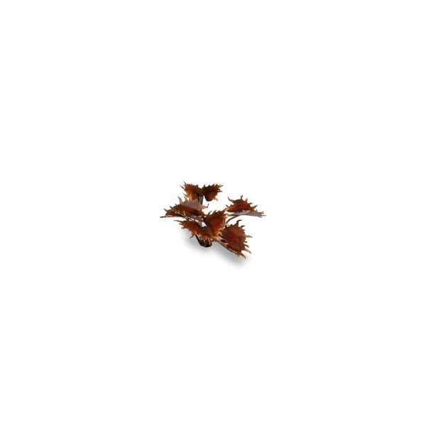 Plantes en découpe laser - Dionaea alien – Image 2