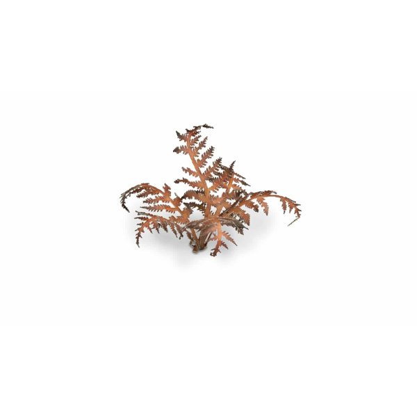 Plantes en découpe laser - fougère sèche – Image 3