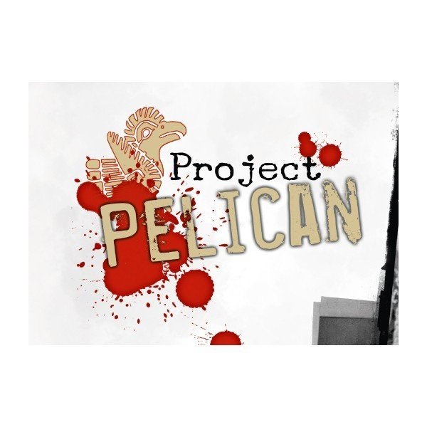 Projet Pélican (base)